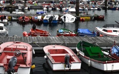 Principales preocupaciones del sector pesquero español