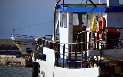 La pesca en 2019, novedades y aspectos a tener en cuenta