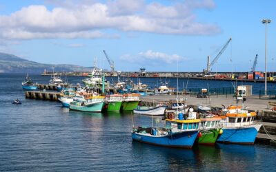 El reto ¿imposible? de la pesca: acabar con la sobreexplotación