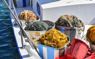 Aspectos que marcarán el futuro de la pesca