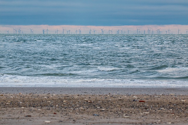¿Se implantarán los parques eólicos marinos en España?