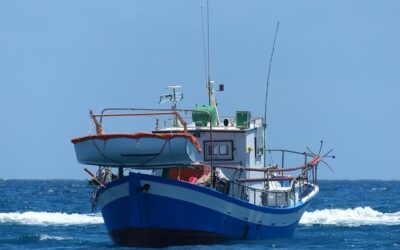 Cuotas de pesca para 2024